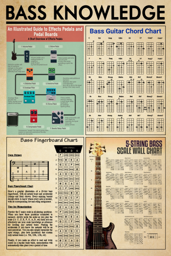 Bass Knowledge Poster Bass Guitar Chords Fingerboard Effects Pedals Scale Guide Wall Art
