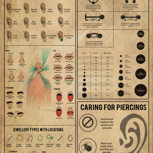 Body Piercing Knowledge Poster Piercing Names Jewelry Size Chart Types Locations Care Guide Wall Art