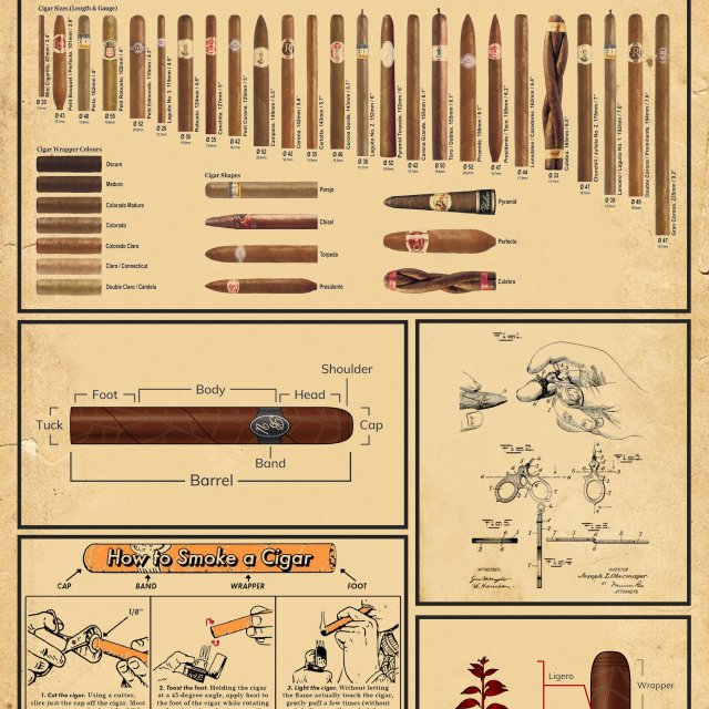 Cigar Knowledge Poster Cigar Sizes Shapes Colours Guide Chart Anatomy Infographic Wall Art