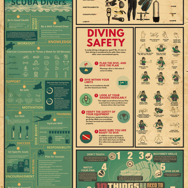 Scuba Diver Knowledge Poster Scuba Diving Safety Gear Tips Fitness Guide Infographic Wall Art