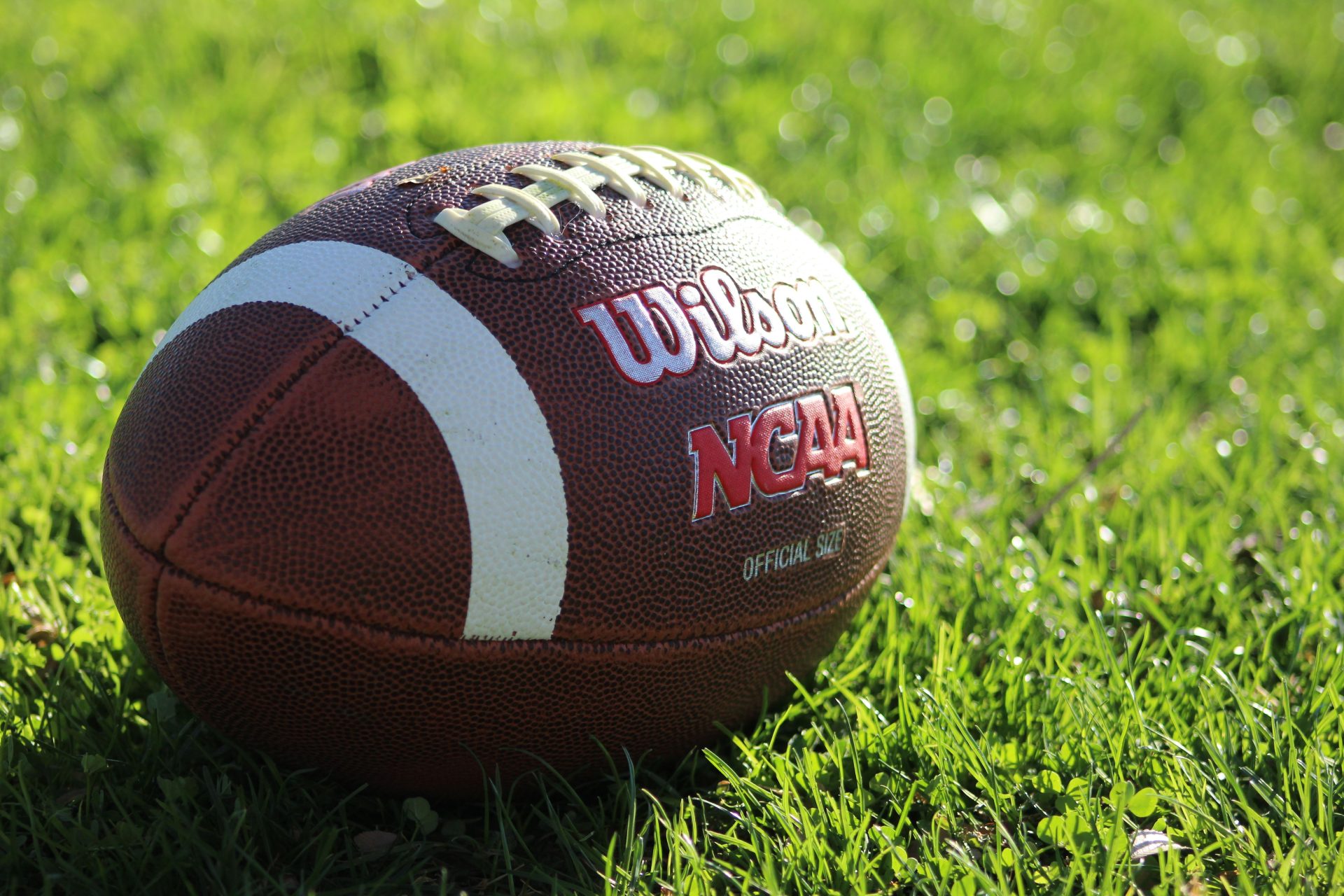 The classic leather American football engineered with white laces